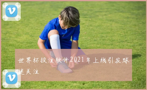 世界杯投注软件2021年上线引发球迷关注