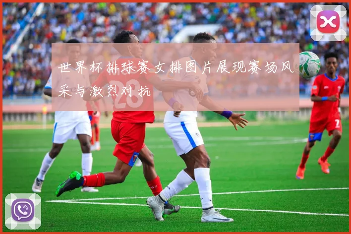 世界杯排球赛女排图片展现赛场风采与激烈对抗