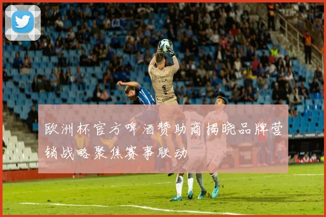 欧洲杯官方啤酒赞助商揭晓品牌营销战略聚焦赛事联动