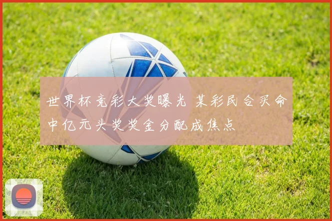 世界杯竞彩大奖曝光 某彩民合买命中亿元头奖奖金分配成焦点