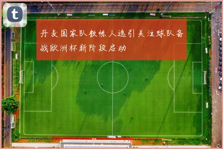 丹麦国家队教练人选引关注球队备战欧洲杯新阶段启动