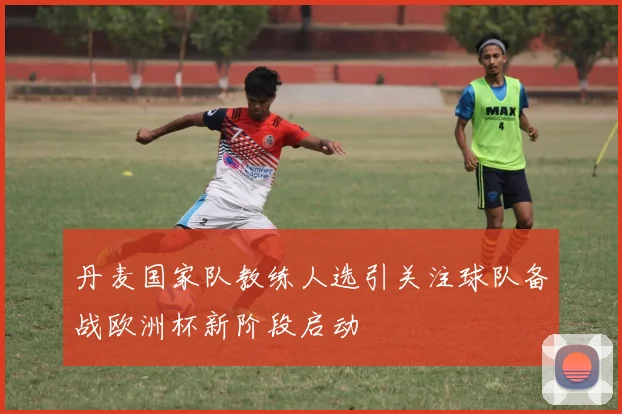 丹麦国家队教练人选引关注球队备战欧洲杯新阶段启动